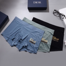 Christian Dior Underwear